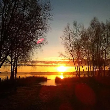 بيت للعطل In With Barbecue