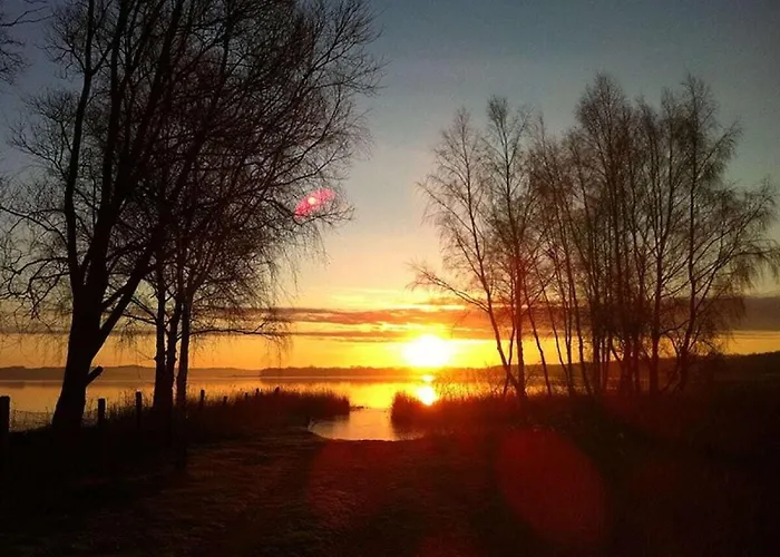 بيت للعطل In With Barbecue